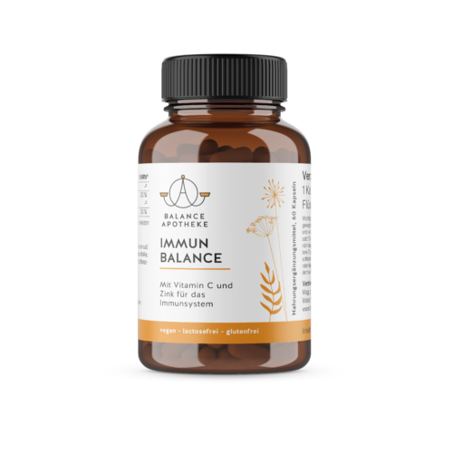 Immun Balance Kapseln mit Vitamin C und Zink für das Immunsystem, 60 Kapseln